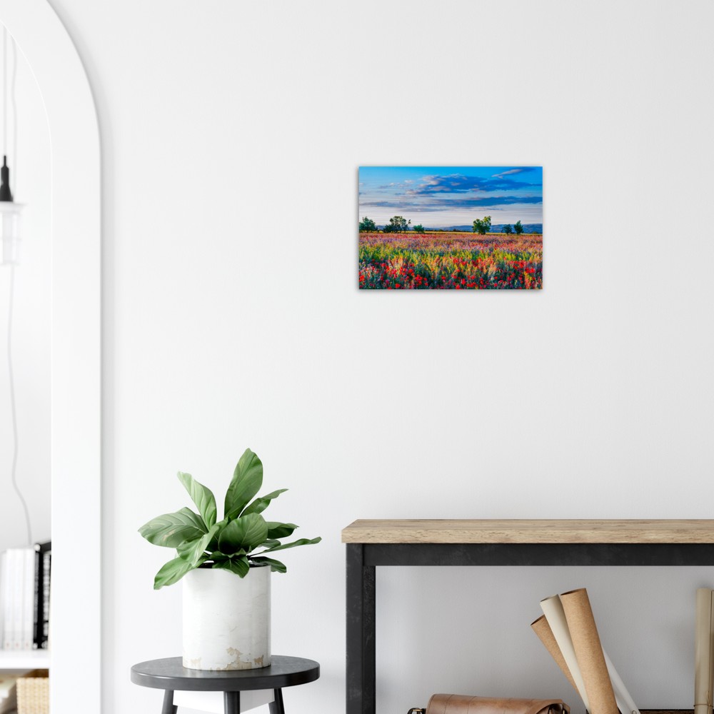 0e740b9a-5653-4012-a14c-7d3876ce0ae3