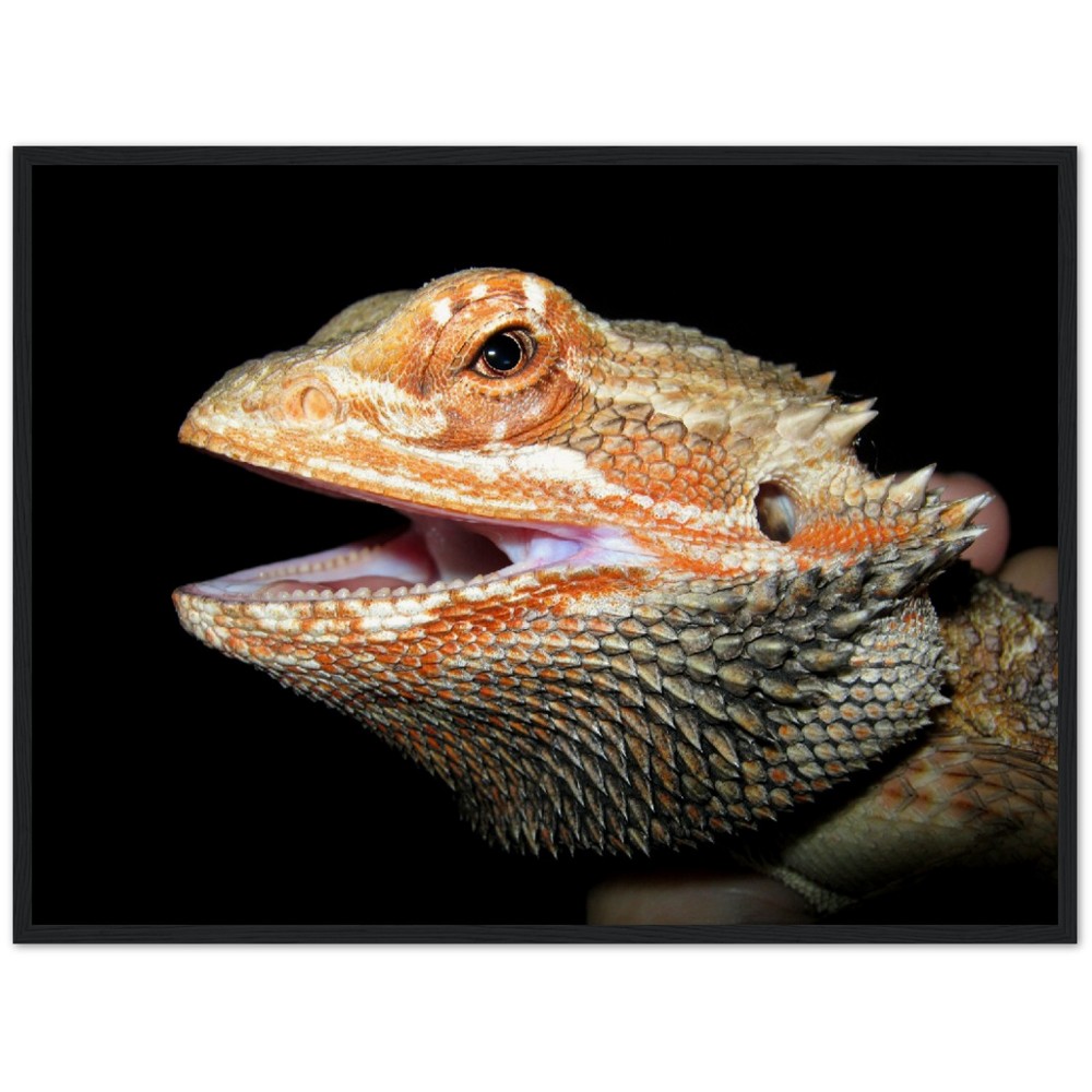 6ece6b73-8d57-4055-b825-a77f2bf38eb1