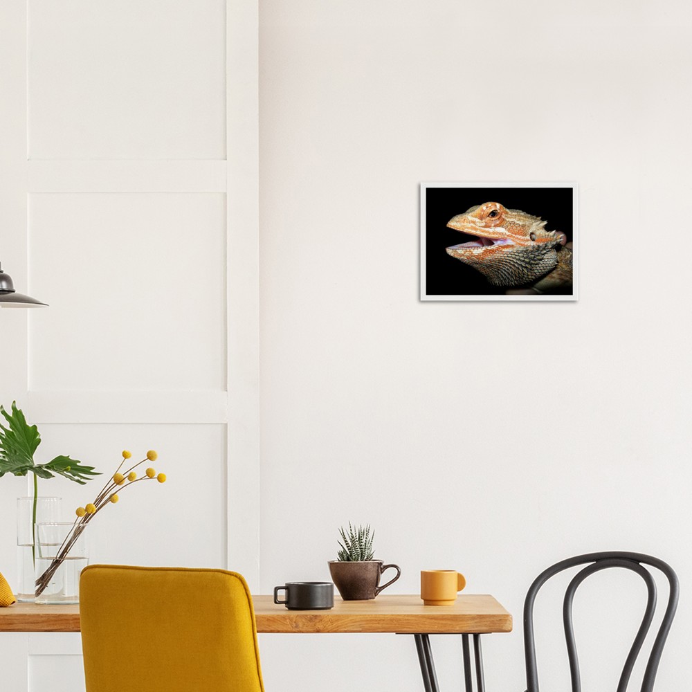 ee7c90b7-29e9-4cb3-82e6-3e6b9425d602